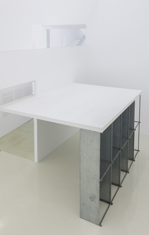 本杰明·阿普尔 Benjamin Appel, 地下室花圃 Flowerbed in the Cellar, 2017