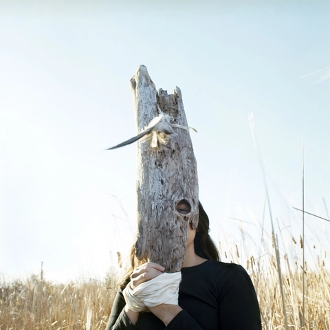 Meryl McMaster, Tilsam, 2010