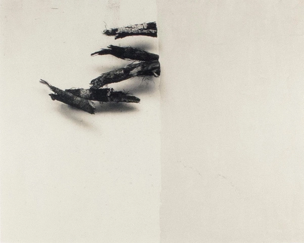 Volker Seding, China Series #42, 1994