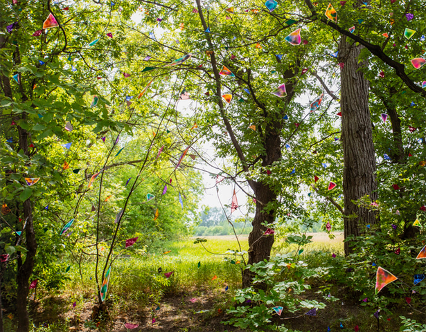 Sarah Anne Johnson, BPSC, 2022