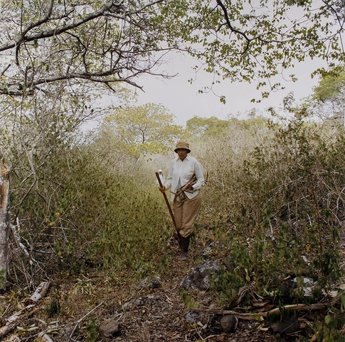Sarah Anne Johnson, Tegan, 2005