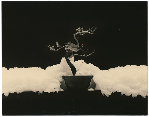 Yamamoto Masao, # 1675, 1987-2018