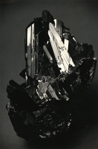 Yamamoto Masao, # 1572, 1987-2018