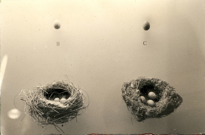 Yamamoto Masao, # 154, 1987-2018