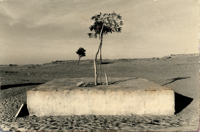 Yamamoto Masao, # 3, 1987-2018