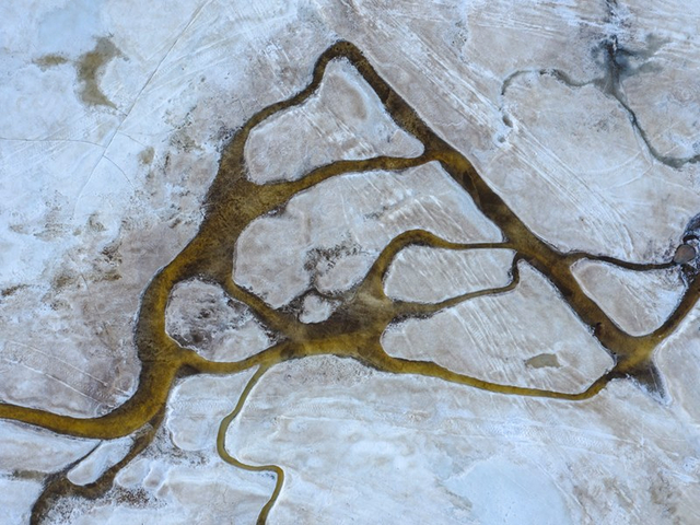 Eldred Allen, Brook Abstraction, May 12, 2019