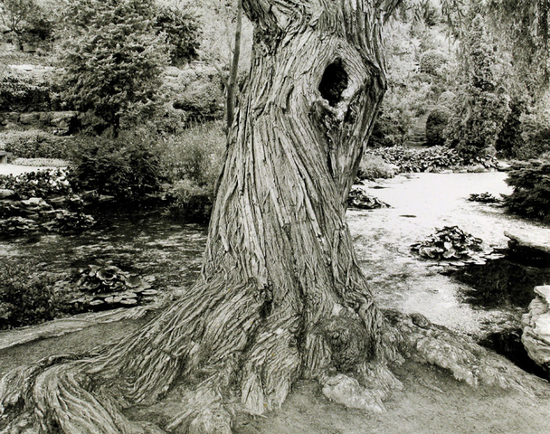 Robert Bourdeau, Ontario, Canada, 1989