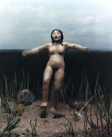 Sarah Anne Johnson, Lady of the Lake, 2002