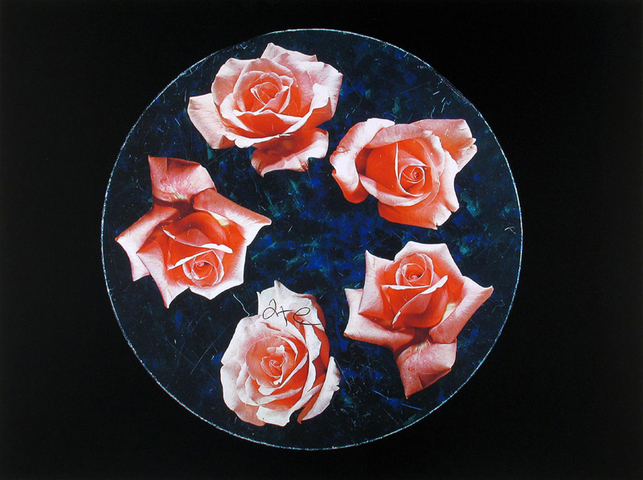 William Eakin, Night Garden 5, 2001