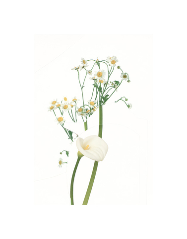 Paul Butler, SBG-PBT-xxxx-CF, 2019-2021