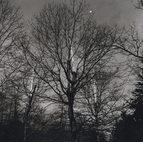 Robert Giard, The Creeks 18, 1991