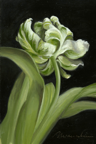 Tanja Moderscheim, Parrot Tulip III