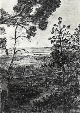 Ted Dwyer, Greenfields II