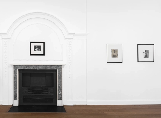 Constantin Brancusi Photographs