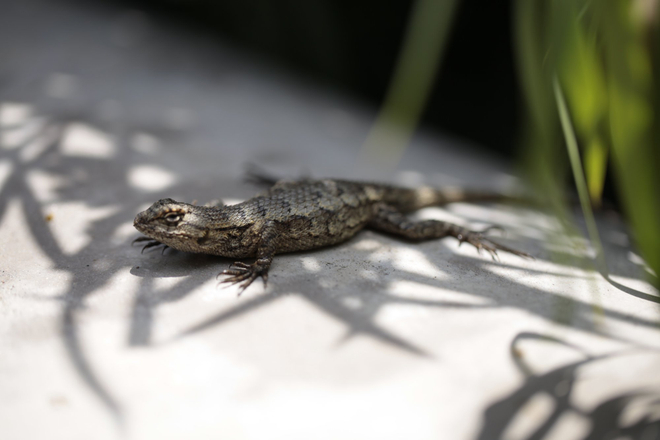 Jeanne Green, Untitled, 2013