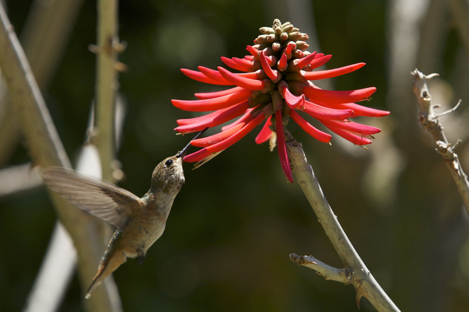 Salvador Matthews, Untitled, 2013