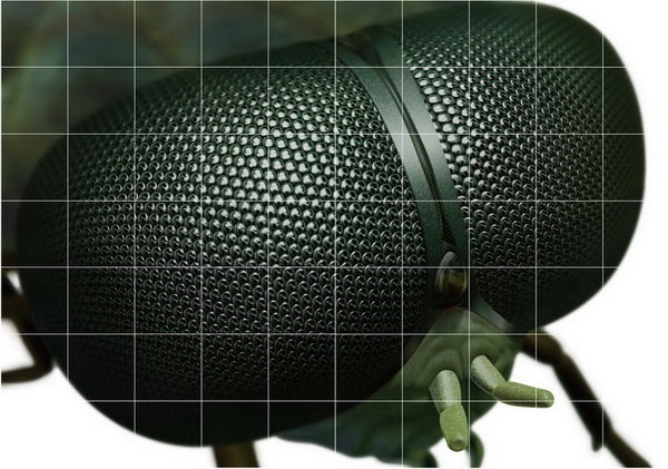 The Fifth Exhibition of A+A