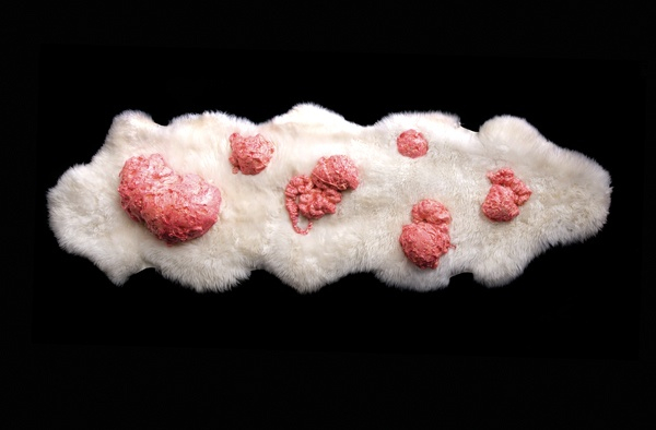 The Third Minds-in-Hands