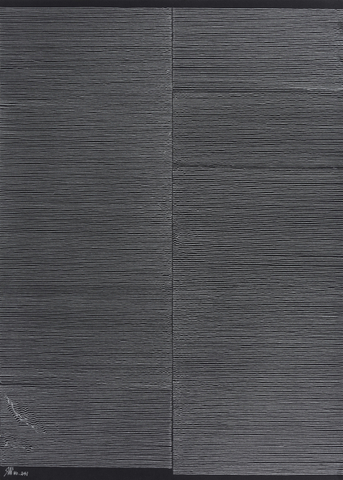 WANG Shilong 王世龙  No.241, 2016