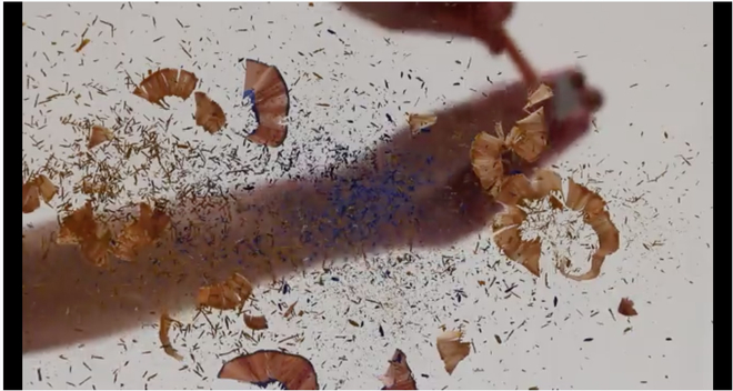 Carolina Pérez PALLARES 卡罗莉娜·佩雷斯·帕拉雷斯  I Should Take the Small One 我该拿小的那个, 2017