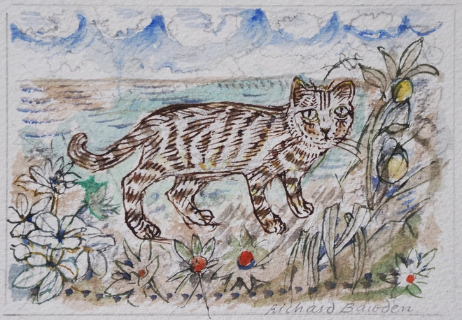 Richard Bawden, Big Cat