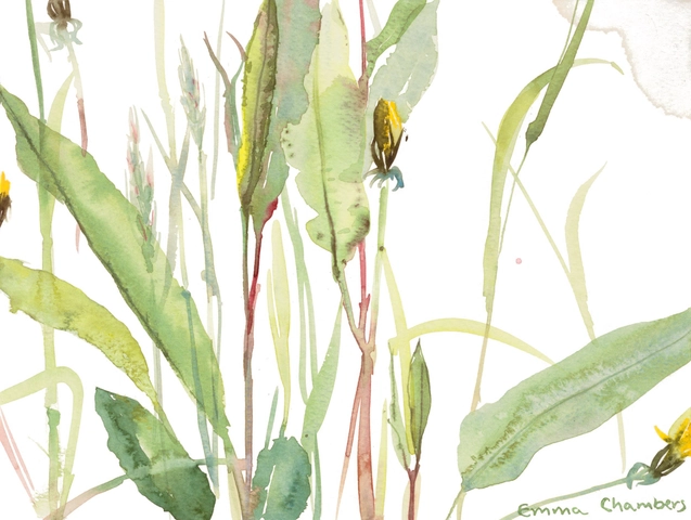 Emma Chambers, Dandelions and Doc Leaves
