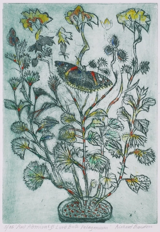 Richard Bawden, Red Admiral and Lord Bute