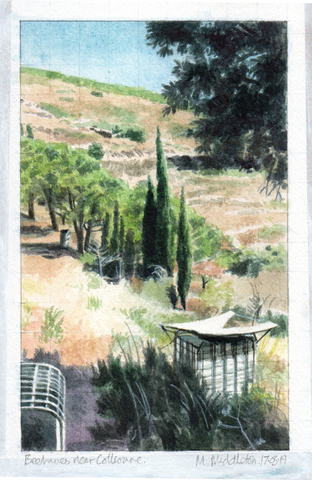 Mike Middleton, Beehives near Collioure