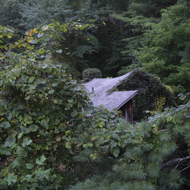 Tema Stauffer: Wonderlands at the Reece Museum, Johnson City, TN