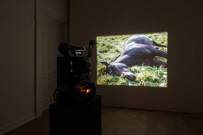 <p>Installation view, Thomas Dane Gallery</p>