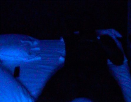 <p>Installation view, Thomas Dane Gallery</p>