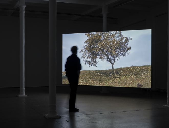 David Claerbout, In Focus