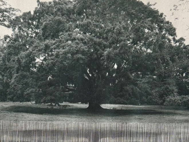 Ana González in Biodiversity Week: 29 Grados