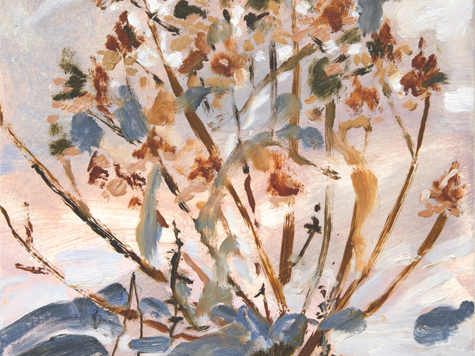 TESSA GREENE O'BRIEN