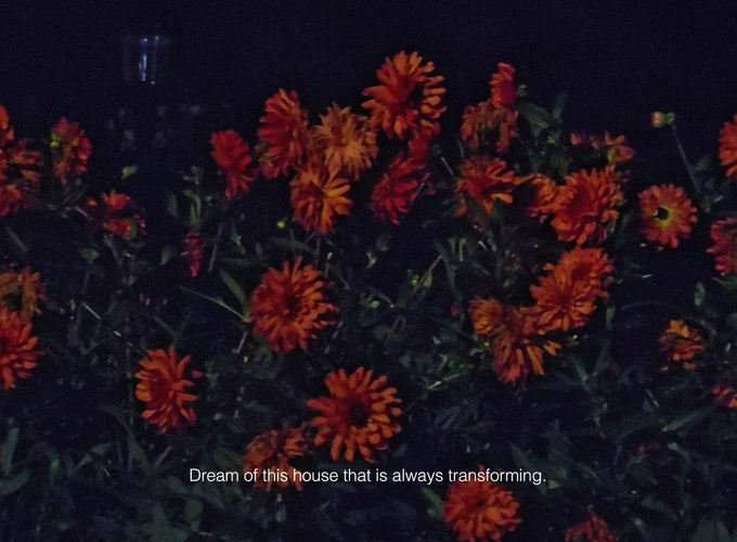 Dominique Gonzalez-Foerster