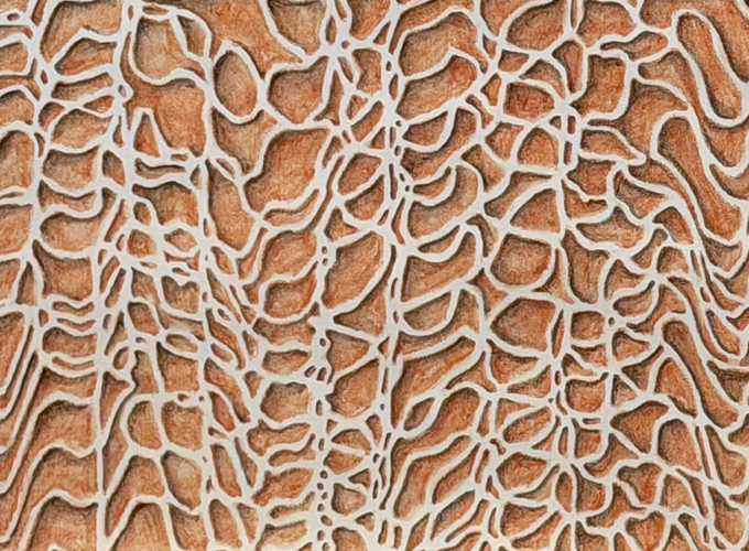 James Siena: New Drawings*