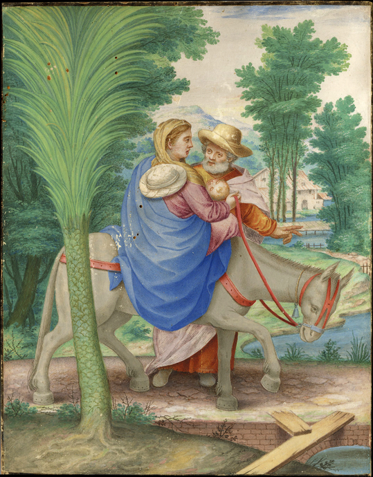 Giovanni Battista Castello &ldquo;Il Genovese&rdquo;