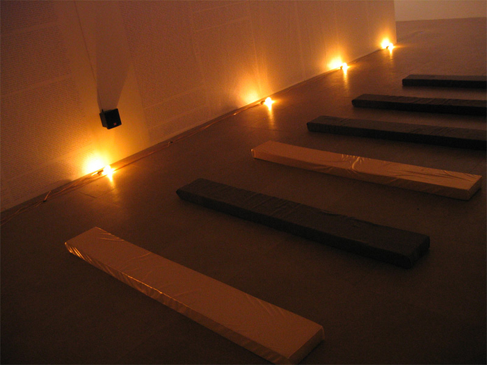 Installation view, Fia Backstr&ouml;m, In Memory of HERD INSTINCT 360&ordm;, Greene Naftali, New York, 2006