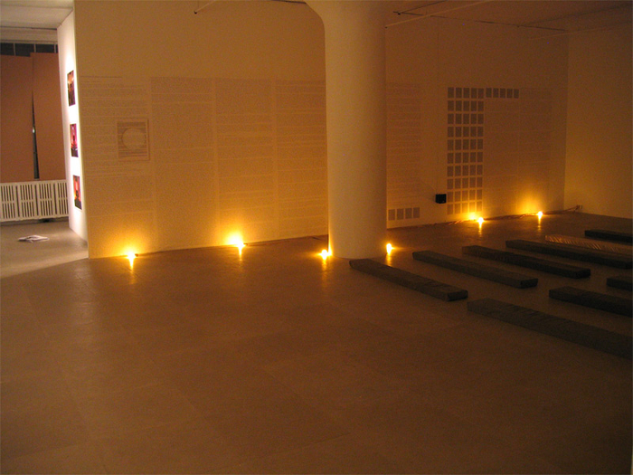 Installation view, Fia Backstr&ouml;m, In Memory of HERD INSTINCT 360&ordm;, Greene Naftali, New York, 2006