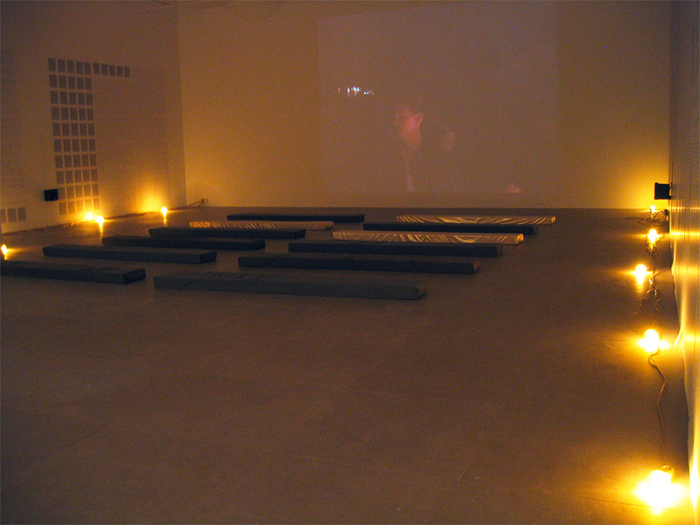 Installation view, Fia Backstr&ouml;m, In Memory of HERD INSTINCT 360&ordm;, Greene Naftali, New York, 2006