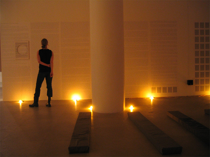 Installation view, Fia Backstr&ouml;m, In Memory of HERD INSTINCT 360&ordm;, Greene Naftali, New York, 2006