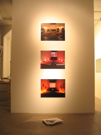 Installation view, Fia Backstr&ouml;m, In Memory of HERD INSTINCT 360&ordm;, Greene Naftali, New York, 2006
