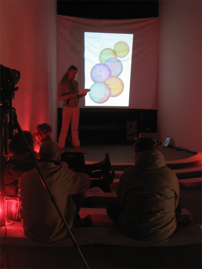 Fia Backstr&ouml;m, In Memory of HERD INSTINCT 360&ordm;, Greene Naftali, New York, 2006