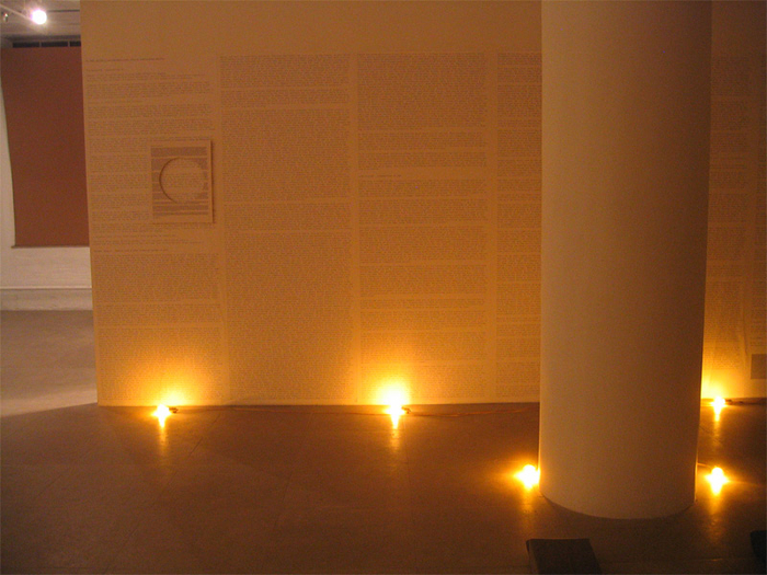 Installation view, Fia Backstr&ouml;m, In Memory of HERD INSTINCT 360&ordm;, Greene Naftali, New York, 2006