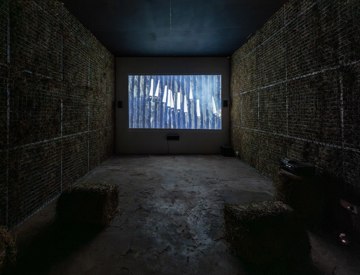 Kulpreet Singh's film at biennale reflects agrarian and ecological crises