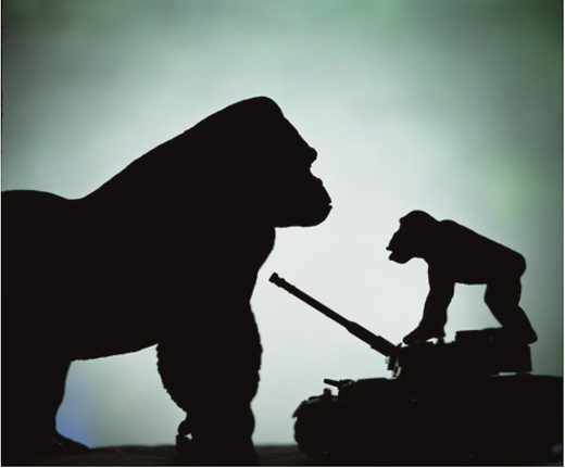 Anarchy (Battle of the Monkeys), 2011