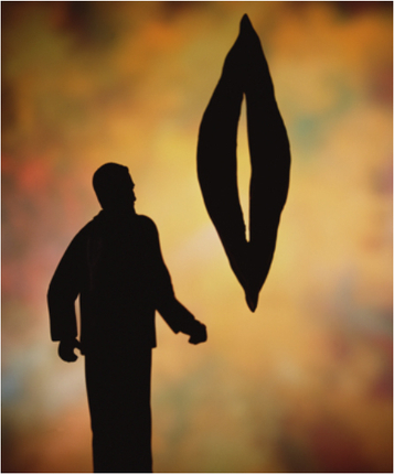 Anarchy (Freud and the Big Vagina), 2011