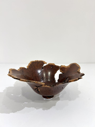 Wild Lilac Live Edge Bowl by Hap Sakwa