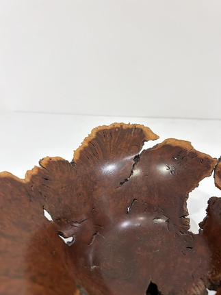 Wild Lilac Live Edge Bowl by Hap Sakwa