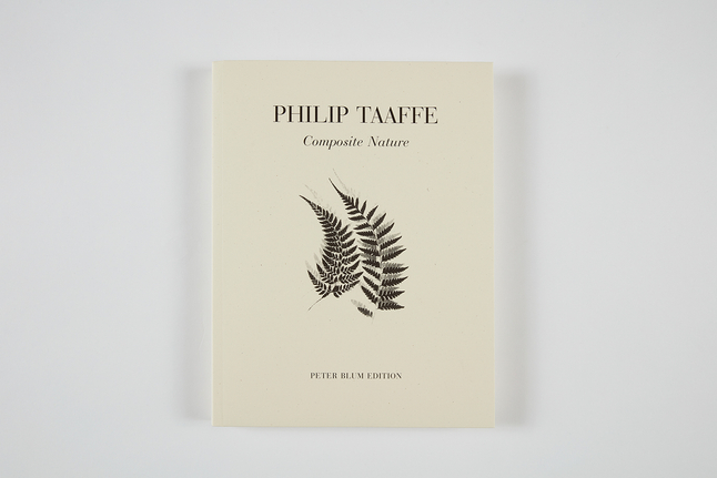 Philip Taaffe, Philip Taaffe: Composite Nature, 1998